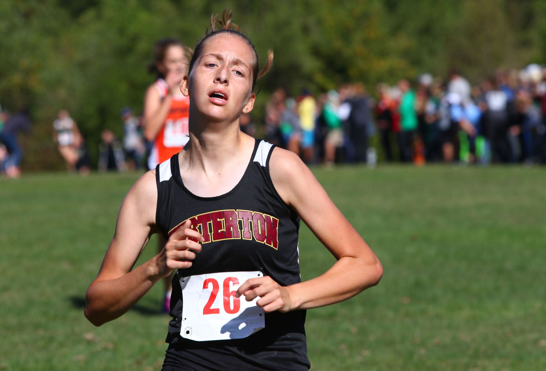 Gallery: Duneland Athletic Conference cross country meet